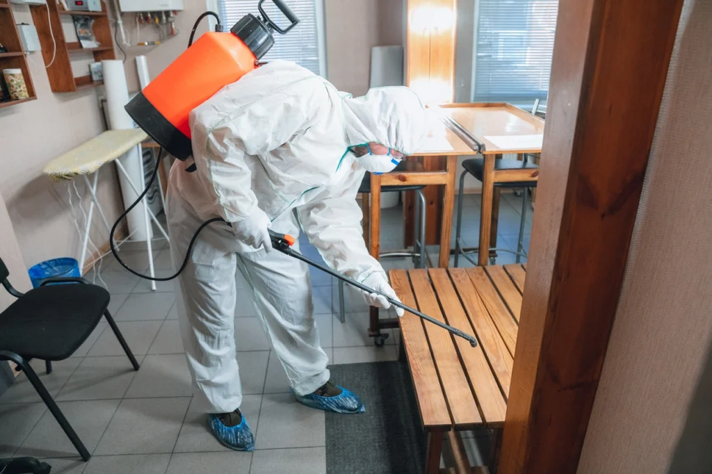 DDD_1280_webp (2)